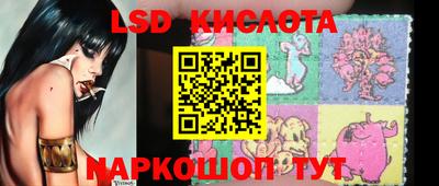 индика Шелехов