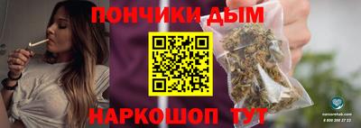 индика Шелехов