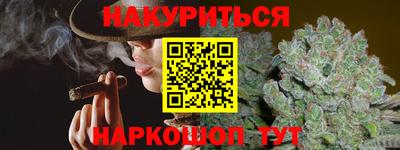 индика Шелехов