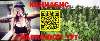 индика Шелехов