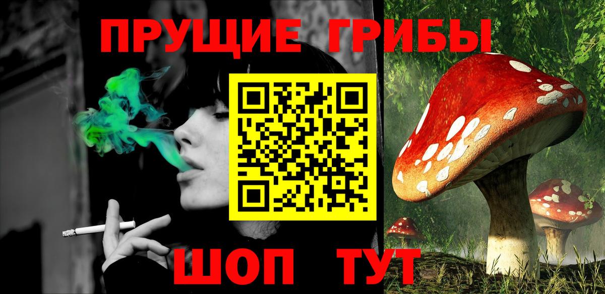 Галлюциногенные грибы Psilocybe Донской